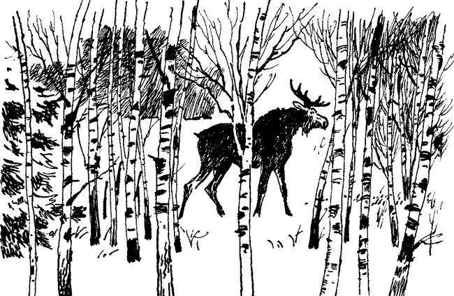 Камешки на ладони (сборник) - i_009.png