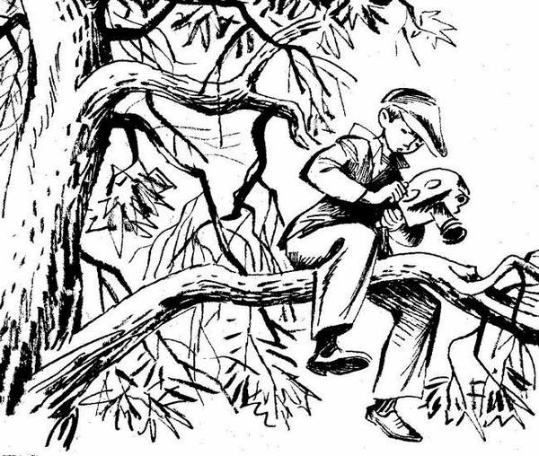 Вовка Грушин и другие (сборник) - i_004.png