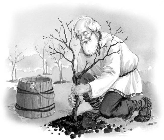 Все самое лучшее для детей (сборник) - i_126.jpg