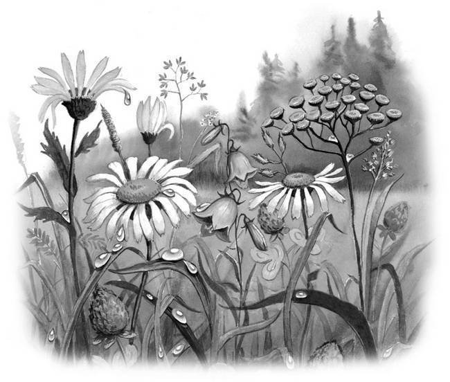 Все самое лучшее для детей (сборник) - i_234.jpg