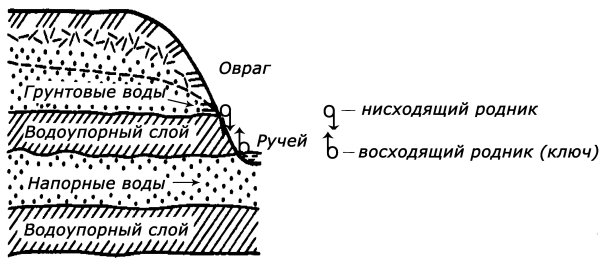 Загородный участок с нуля - i_060.jpg
