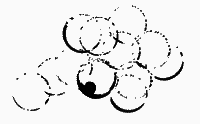 52-е февраля - i_022.png