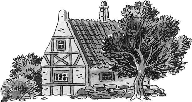 Королевство кривых зеркал (сборник) - i_036.png