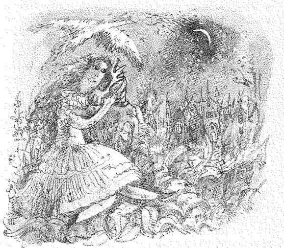 Седьмая принцесса (сборник) - i_015.jpg