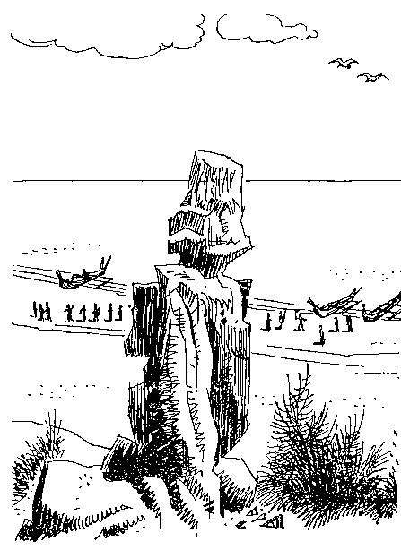 Приключения Робинзона Крузо (в пересказе для детей) - i_072.png