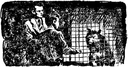 По затерянным следам - i_015.png