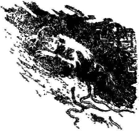 Старое русло - i_007.png