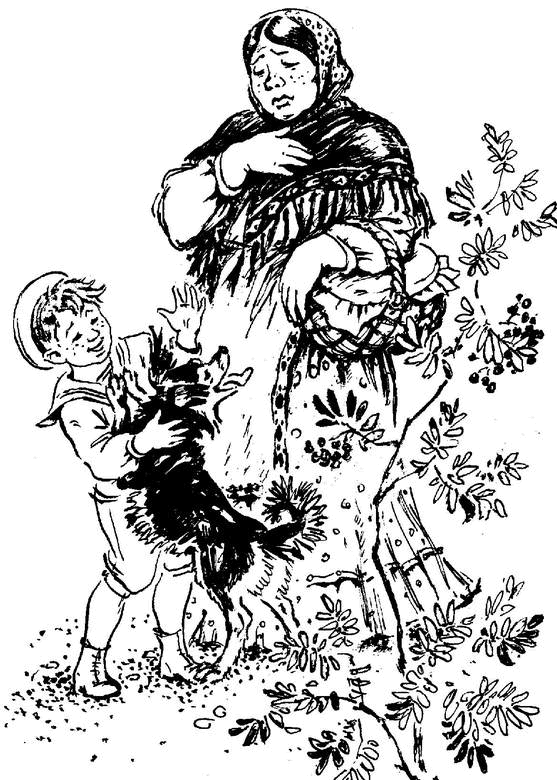 Аленушкины сказки (сборник) - i_012.png