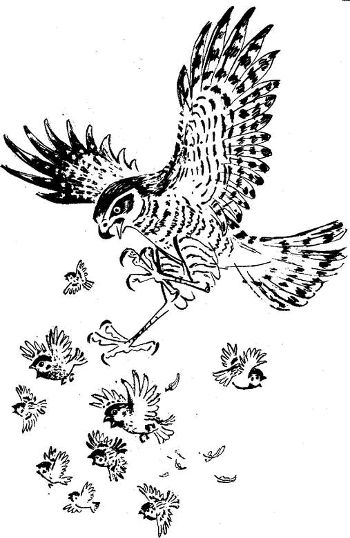 Аленушкины сказки (сборник) - i_049.png