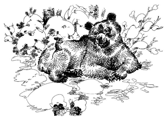 Лесные тайнички (сборник) (с илл.) - i_003.png