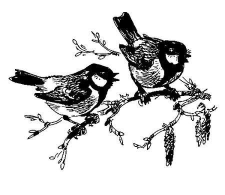 Лесные тайнички (сборник) (с илл.) - i_009.png