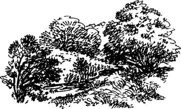 На теплой земле (сборник) - i_010.png