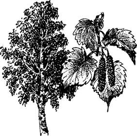 На теплой земле (сборник) - i_015.png