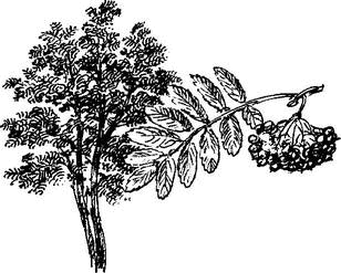 На теплой земле (сборник) - i_027.png