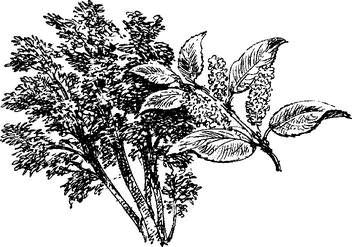 На теплой земле (сборник) - i_029.png