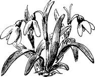 На теплой земле (сборник) - i_031.png