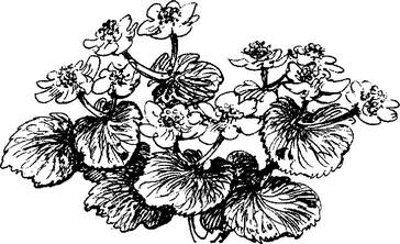 На теплой земле (сборник) - i_033.png