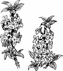 На теплой земле (сборник) - i_037.png
