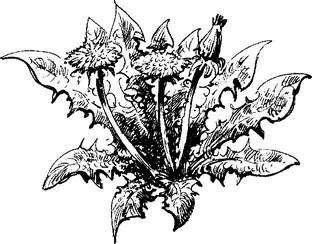 На теплой земле (сборник) - i_039.png