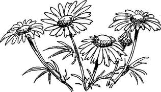 На теплой земле (сборник) - i_045.png