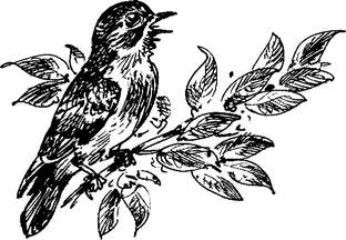 На теплой земле (сборник) - i_058.png