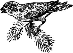 На теплой земле (сборник) - i_086.png
