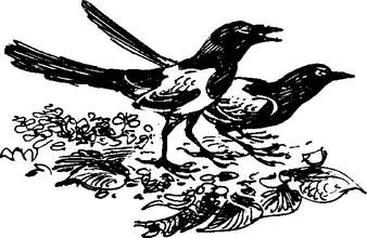 На теплой земле (сборник) - i_087.png