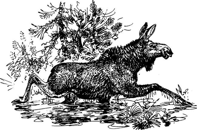 На теплой земле (сборник) - i_100.png