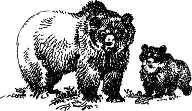 На теплой земле (сборник) - i_101.png