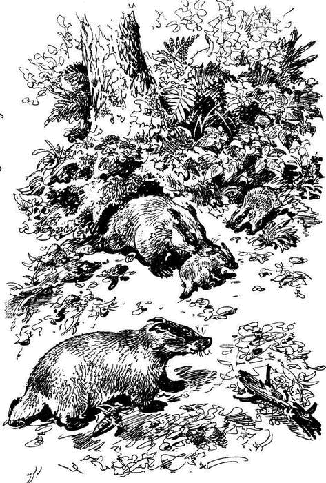 На теплой земле (сборник) - i_115.png