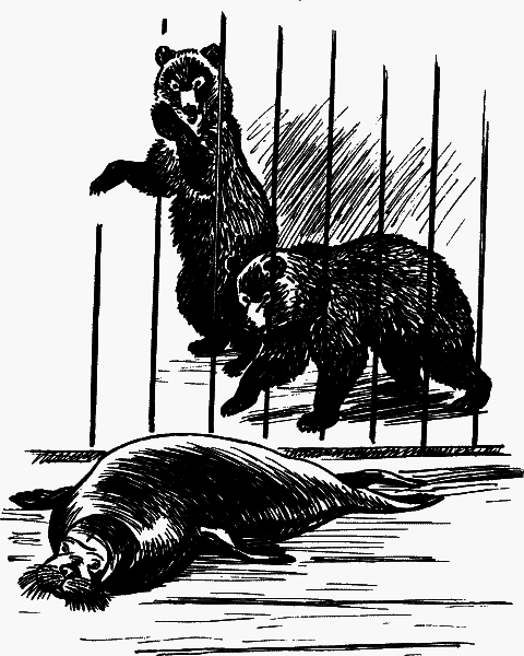 Мой дом на колёсах (сборник) - _30.png