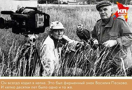 Окно в природу - _04.jpg