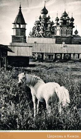 Окно в природу - _100.jpg