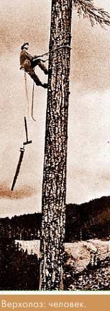 Окно в природу - _67.jpg