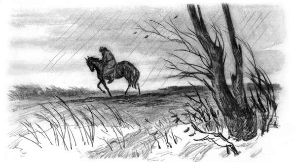Рассказы и сказки(сборник) - i_016.jpg