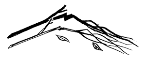 Ночь после выпуска (сборник) - tendryakov_28.png