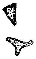 Сообщение Артура Гордона Пима - _22.png