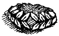 Чарівний талісман (збірник) - i_033.png