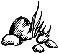 Чарівний талісман (збірник) - i_049.png