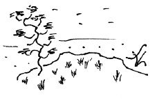 Мангушев и молния - i_005.jpg