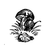 Чарівник Країни Оз - pic_64.png