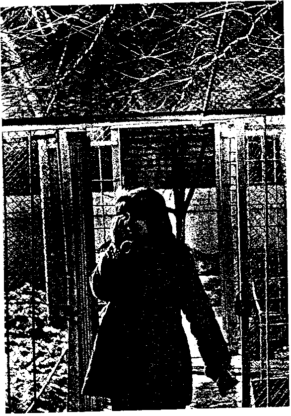 Краткая Воровская ЭНциклопедия - image11.png