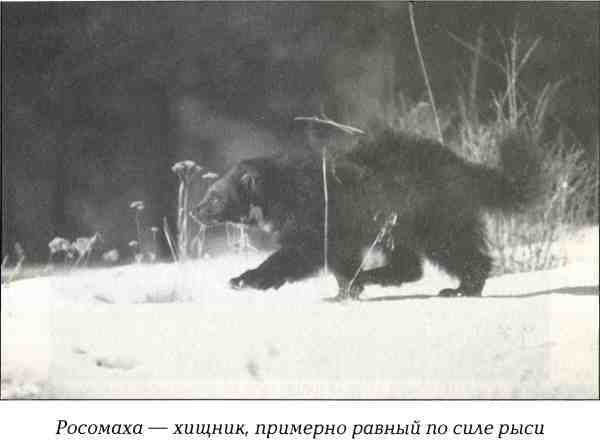 Русская Америка - i_048.jpg