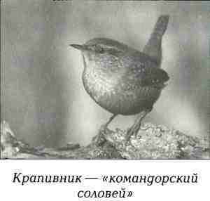 Русская Америка - i_053.jpg