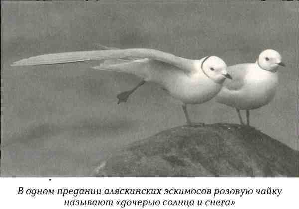 Русская Америка - i_063.jpg