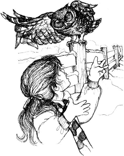 Сара. Книга 3. Говорящий филин стоит тысячи слов. Как пережить приключения, ничем не рискуя - i_021.png
