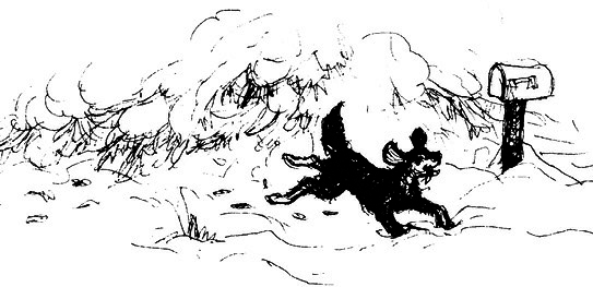 Сара. Книга 3. Говорящий филин стоит тысячи слов. Как пережить приключения, ничем не рискуя - i_022.png
