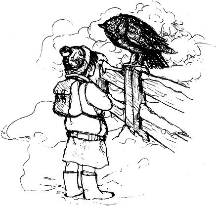 Сара. Книга 3. Говорящий филин стоит тысячи слов. Как пережить приключения, ничем не рискуя - i_039.png