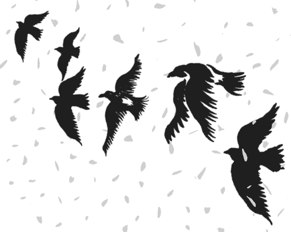Баба Яга пишет (сборник) - i_026.png