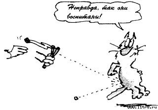 Кот без дураков - pic45.jpg